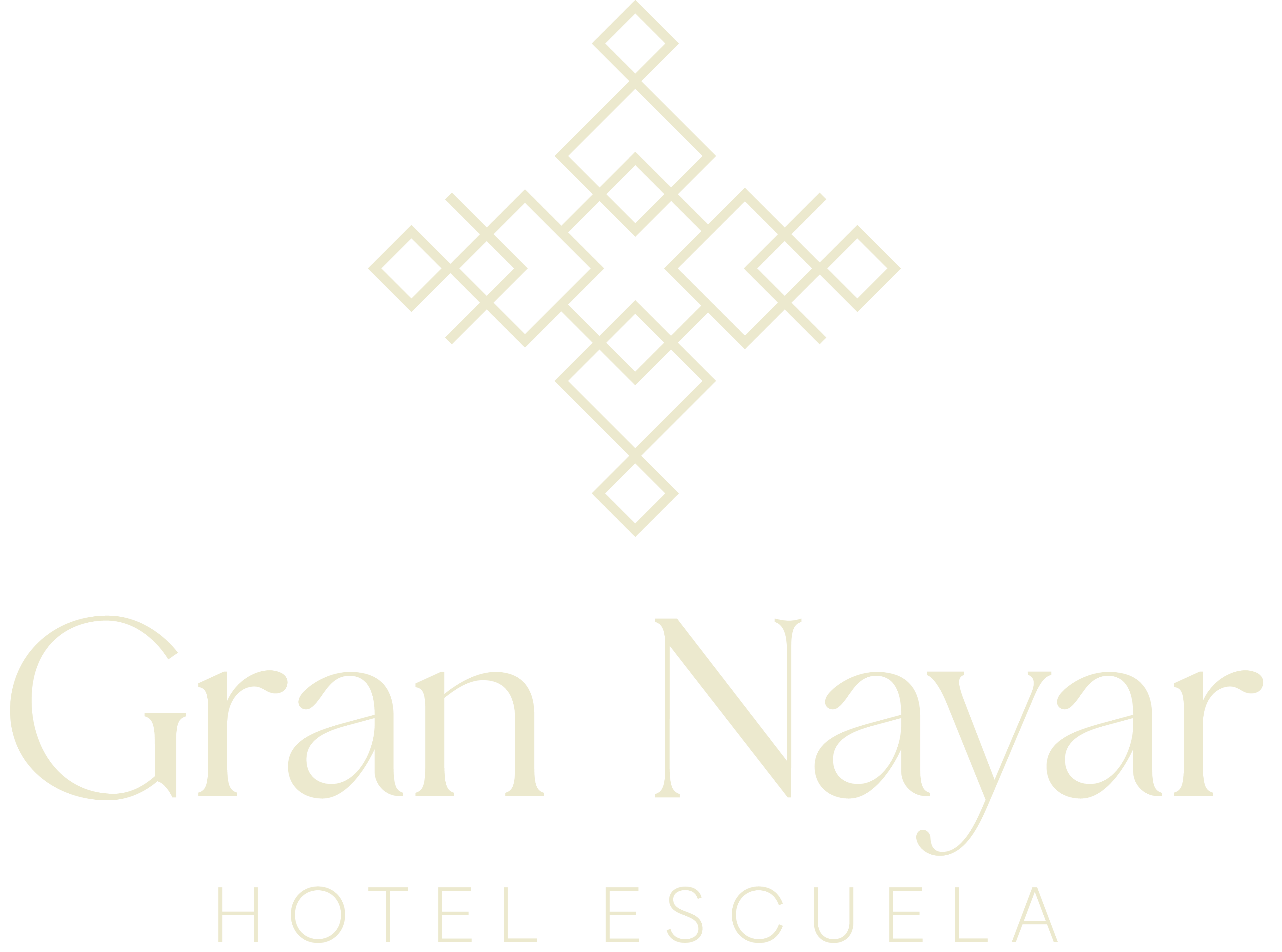 Logo Gran Nayar